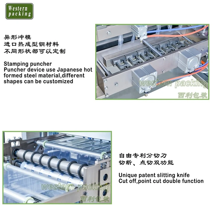 dry powder packaging equipment
