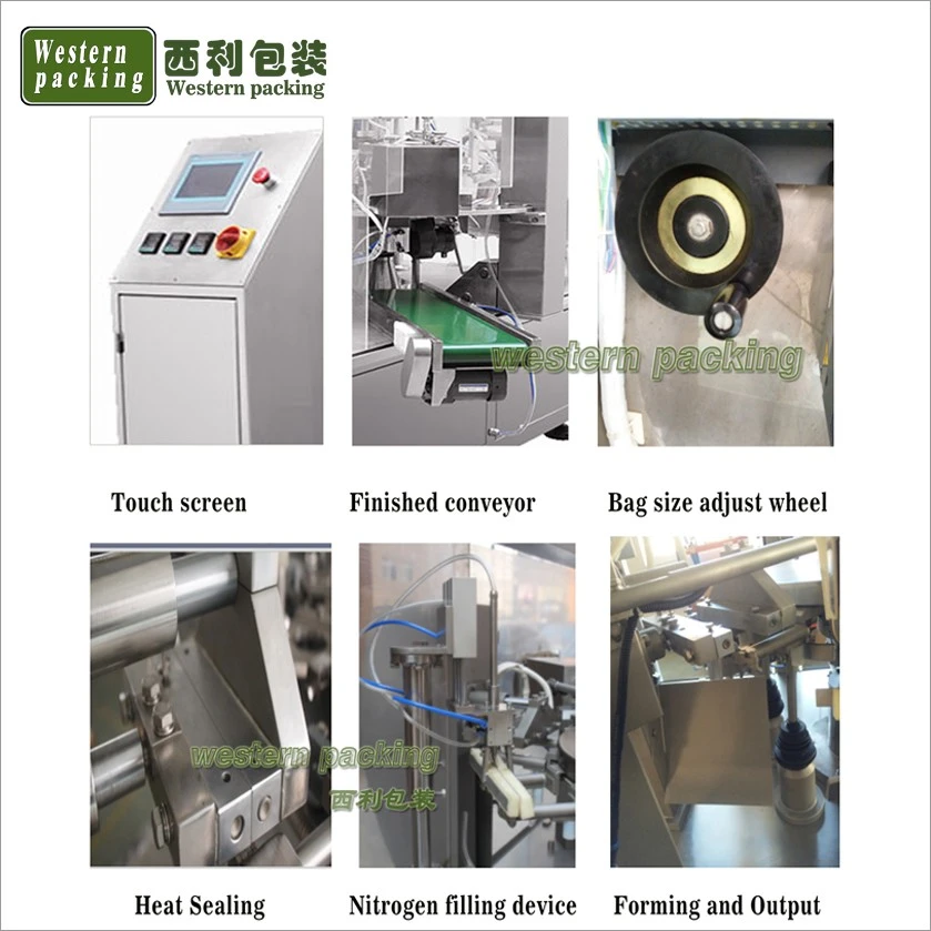 dry pet food packing machine