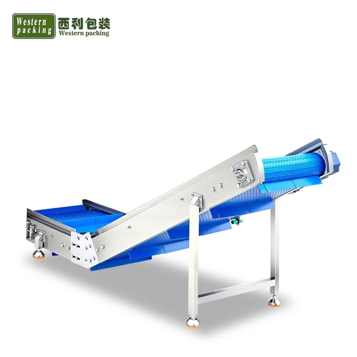 conveyor belt machine
