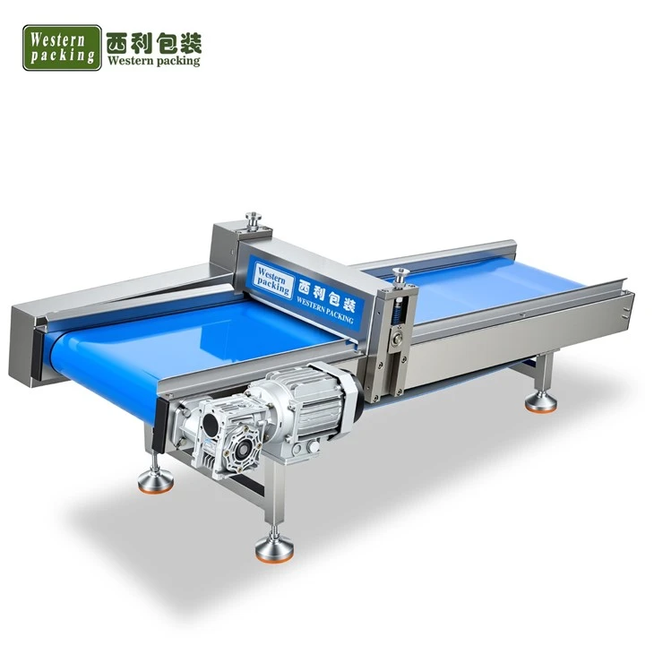 small conveyor belt