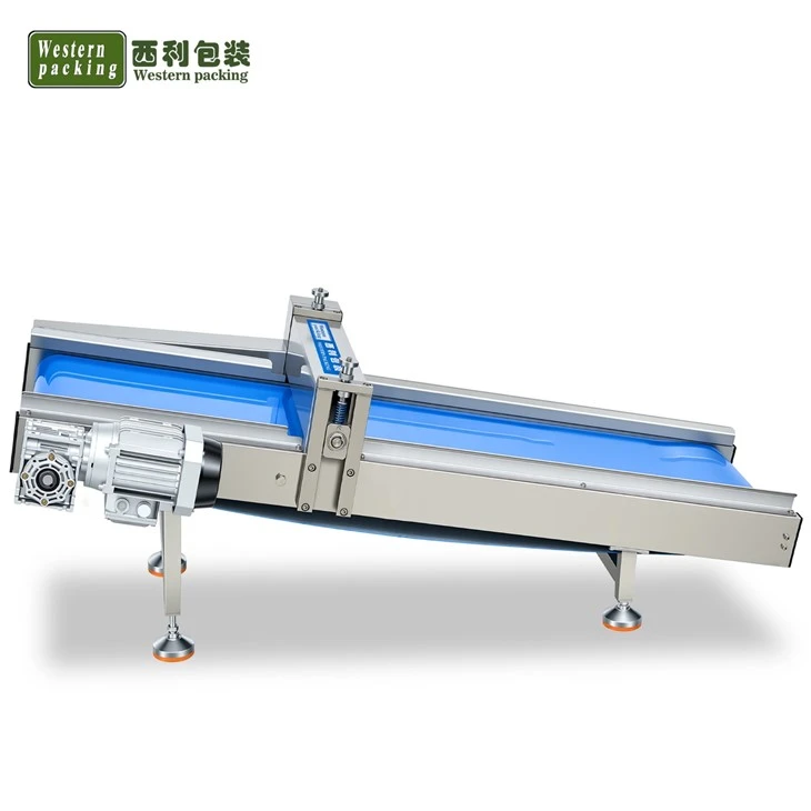 electric conveyor belt