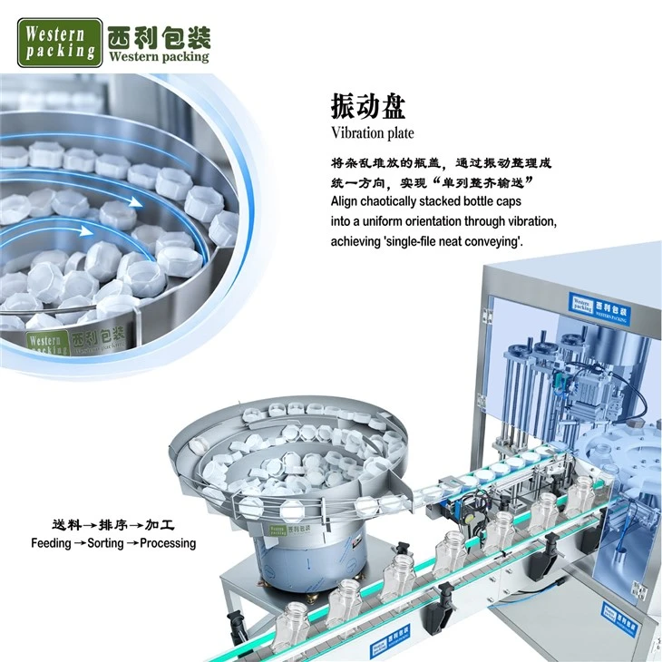 Can Filling Equipment
