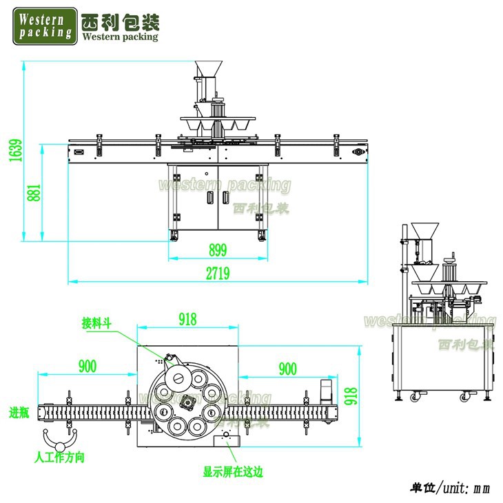 multi head filling machine