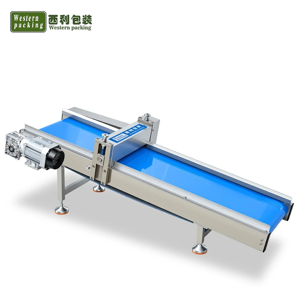 Output Conveyor