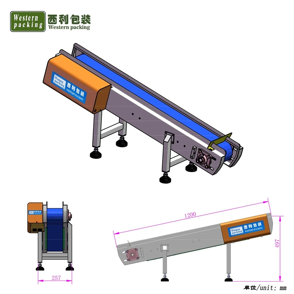 small conveyor system