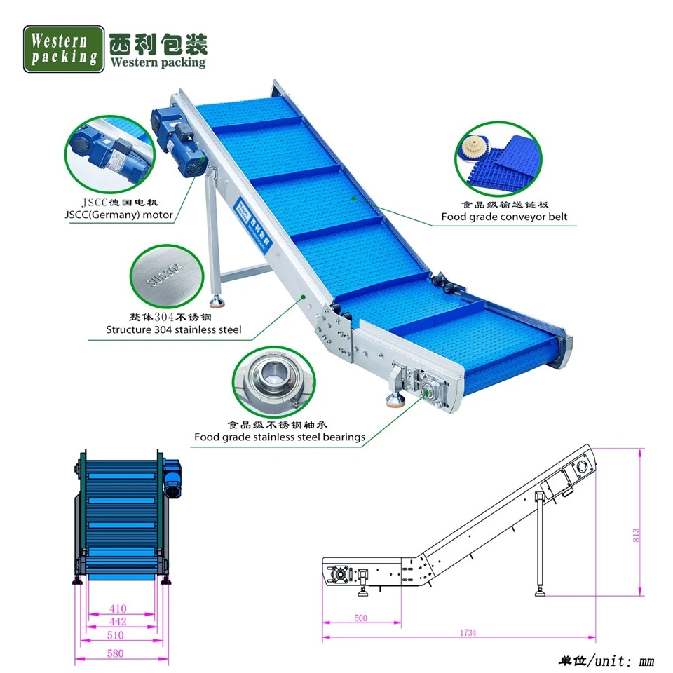 automatic conveyor belt