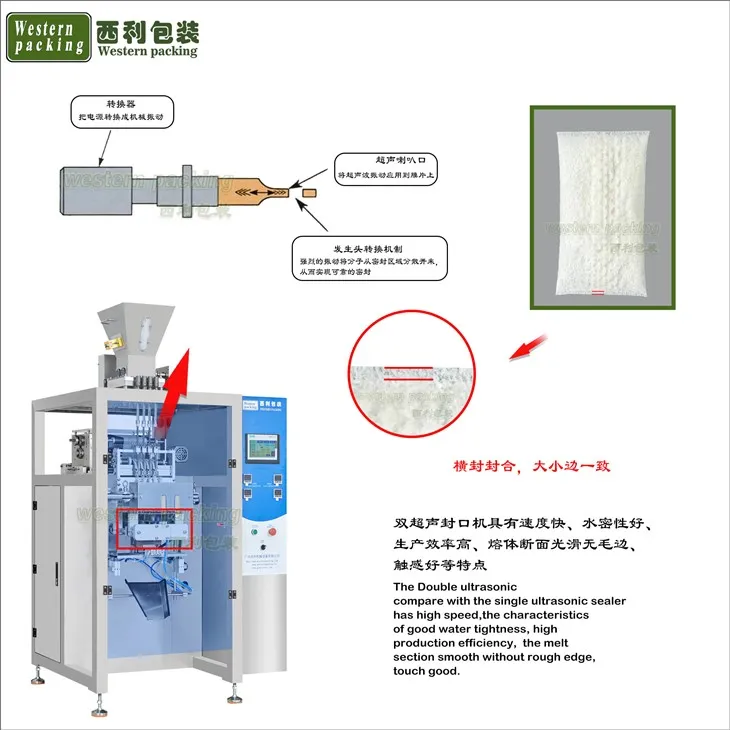 snus Nicotine powder packing machine-1