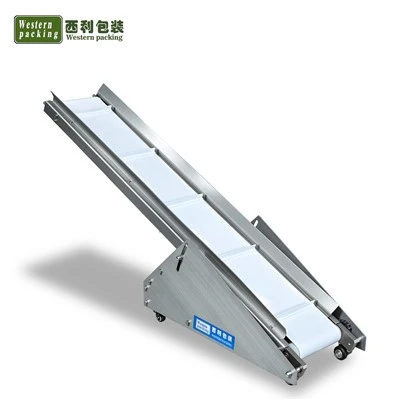 Small Conveyor System
