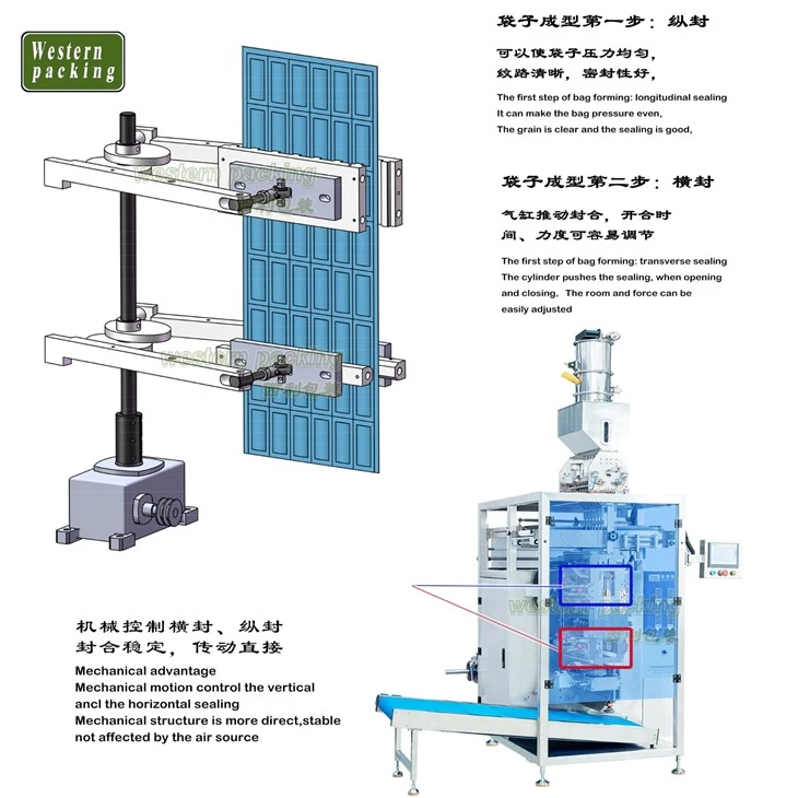 packing machines for food